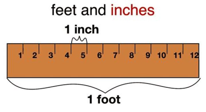 Understanding 5 Feet 2 Inches In Inches: A Comprehensive Guide