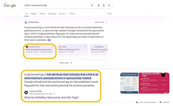 Effective Strategies To Check Site Rank On Google