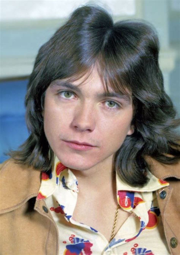 Unveiling The Life And Legacy Of David Cassidy