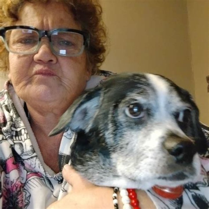 Is Anthony Geary Still Alive Or Did He Pass Away?