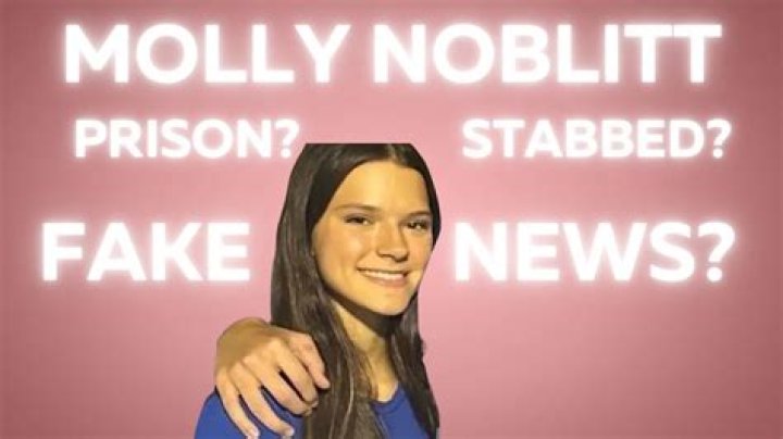 Unraveling The Mystery: Did Molly Nobblit Go To Jail?