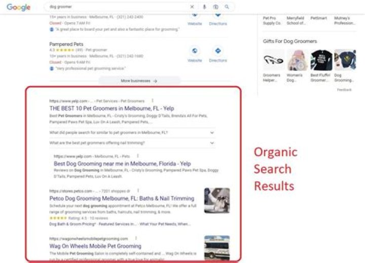 Unraveling The Power Of The Google Organic Search Ranking Tool