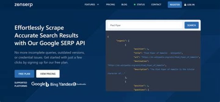 Unlocking The Power Of Google SERP Position API