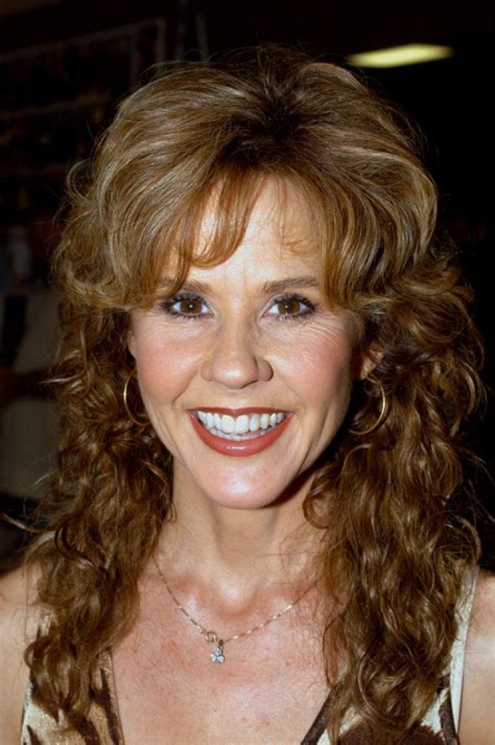 Unraveling The Mysteries: Is Linda Blair Still Married?