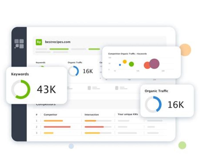 Mastering Your SEO Strategy: The Organic Keyword Rank Checker