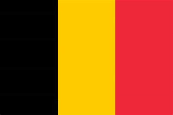 Exploring The Significance Of The Red White And Black Flag With Yellow