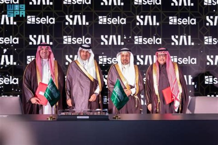 The Financial Landscape Of Sela Company: An In-Depth Look At Its Net Worth