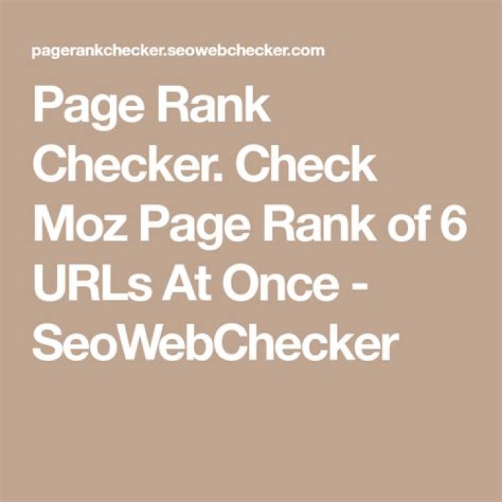 Unlocking The Power Of SEO Page Rank Checker For Your Website